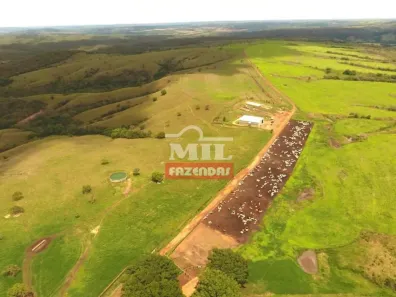Fazenda / Sítio / Chácara à venda, 500m² no , Ipameri
