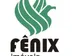 Miniatura da foto de Fenix Imóveis E Serviços Ltda