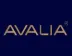 Miniatura da foto de Grupo Avalia