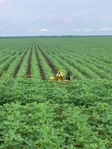 Fazenda / Sítio / Chácara com 1 Quarto à venda, 19456800m² no Centro, Araraquara