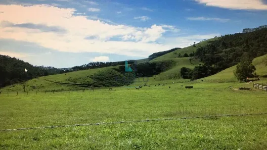 com 4 Quartos à venda, 1m² no Centro, Lagoinha
