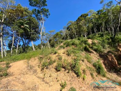 Terreno / Lote / Condomínio à venda, 4200m² no Carlos Guinle, Teresópolis