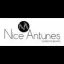 Nice Antunes Gestao De Imoveis Ltda