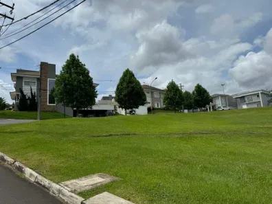 Terreno / Lote / Condomínio à venda, 445m² no Estrela, Ponta Grossa