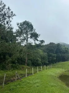 Casa Comercial com 5 Quartos à venda, 200000m² no Centro, Osasco