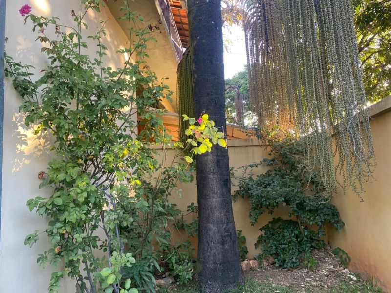 Foto 61