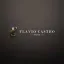 Flavio Castro Imoveis Ltda Me