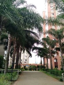 Apartamento com 3 Quartos à venda, 65m² no Cambuci, São Paulo