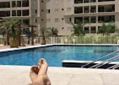 Apartamento com 2 Quartos à venda, 62m² no Marapé, Santos