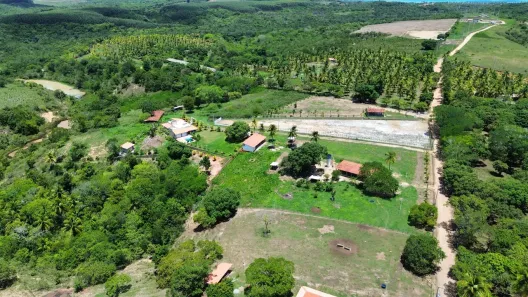 Fazendas, Sítios e Chácaras à venda - Alagoas | ZAP Imóveis